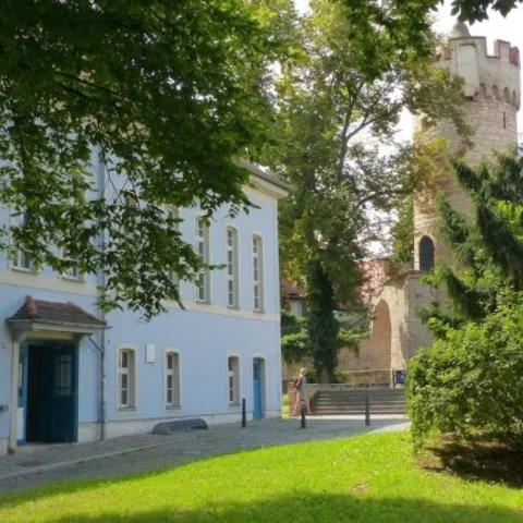 Ein blau verputztes historisches Gebäude umgeben von grünem Baum und Wiese. Im Hintergrund ist ein historischer Stadtturm zu sehen.  
